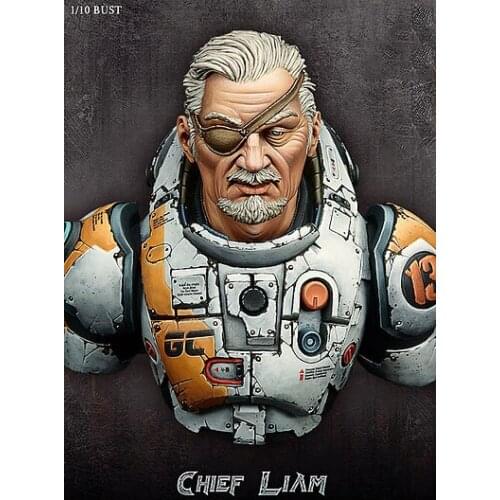 1/10 Scale Unpainted Resin bust Chief Liam collection bust