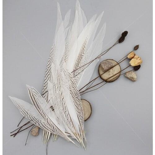 50pcs 50-55cm White Silver Pheasant Feather pheasant tail feathers crafts for wedding party headdress decoration