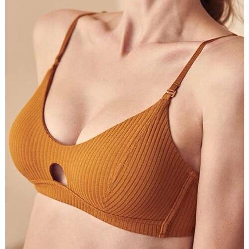 High Quality Lingerie Underwear Women Sexy Bra Set Girl Langerie Push Up Lenceria Feminina Wire Free Comfort Bra and Panty Sets