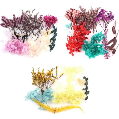 Natural Dried Flower Dry Plants For DIY Epoxy Resin Charm Pendant Glass Cover Aromatherapy Candle Making Craft Accessories