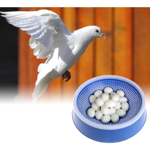 Blue Pigeon Eggs Nest Birds Plastic Dehumidification Basin Supply Breeding Bowl