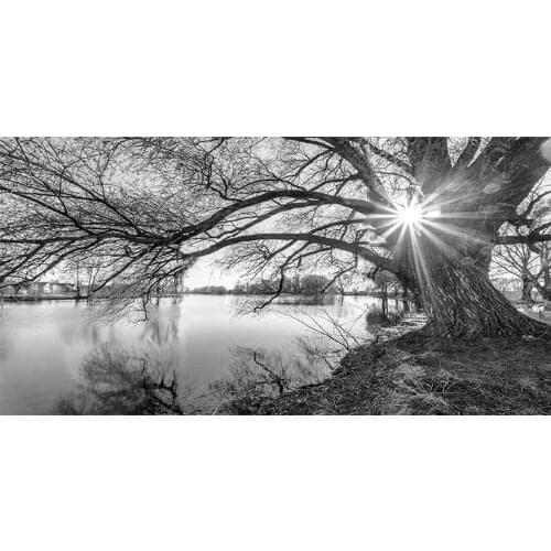 Needlework 5D DIY Diamond Painting Black and white lakeside tree scenery Diamond Embroidery Full Round Square mosaic Rhinestones