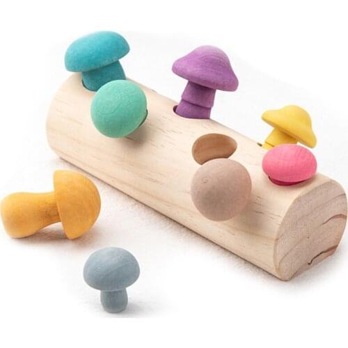 Wooden Rainbow Blocks Mushroom Picking Game Montessori Educational Wooden Baby Toys Developmental Shape Matching Assembly Toys