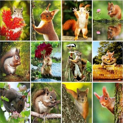 Evershine Full Square Diamond Painting Squirrel Diamond Mosaic Animals Embroidery Cross Stitch Kit 5D DIY Home Decor Gift