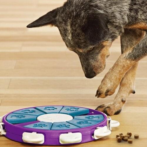 Toys for Dog Slow Feeder Anti Choke Anti-Gulping Dog Cat Bowl Durable ABS Healthy Food Dish Bowl Interactive Dog Feeding Toys