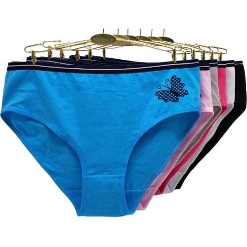 6 Pieces/Lot Panties Cotton Plus Size Underwear Women High Waist Briefs Female Panty Ladies Knickers Girl Intimate 4XL 3XL 2XL