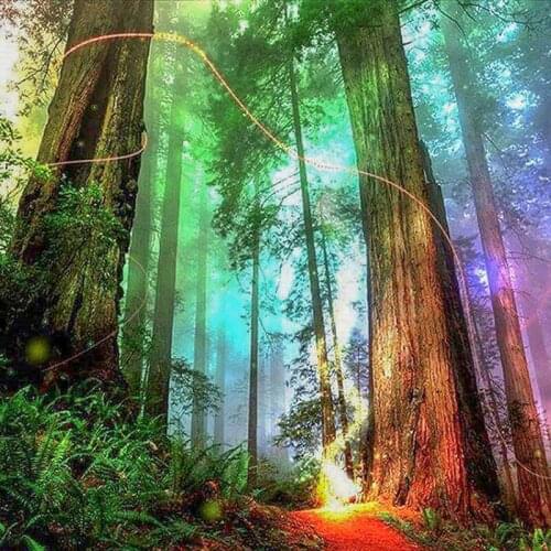 5D Diy Diamond Painting Landscape Forest Cross Stitch Round Diamond Mosaic Craft Diamond Embroidery Needlework Home Paintings