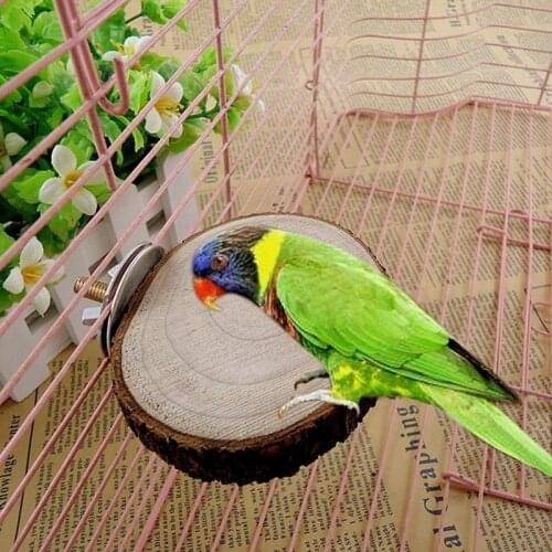 New Squirrel Log Pier Log Pier Platform Springboard Parrot Stand Board Pet Pet Supplies Parrot Toy