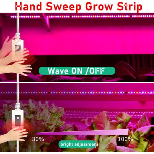 TALBER Professional Lighting