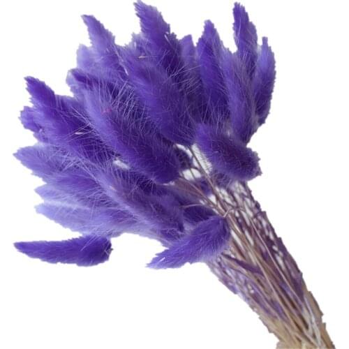 50pcs Natural Material Rabbit Tail Grass Bunny Tails Dried Flowers Bouquets Plant Stems Shooting Props Wedding Decoration