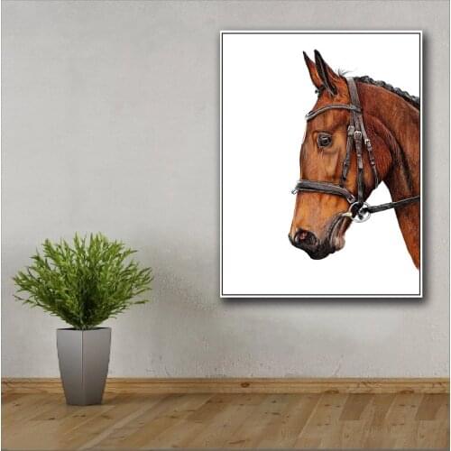 Large size Printing Oil Painting The head portrait of a horse 2 art canvas prints pictures for living room and bedroom No Frame