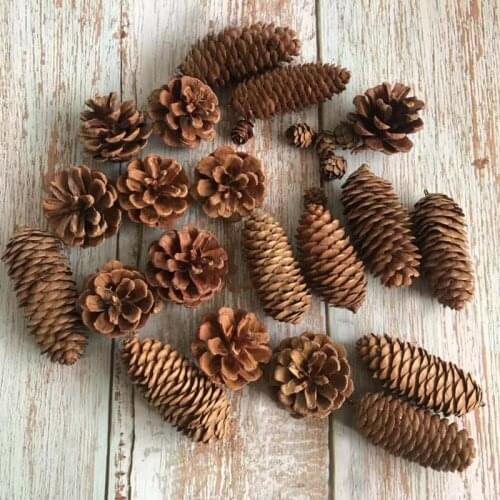Natural Dried Flowers Decorative Pinecone,Mini Pine Flower,Real Dry Flower DIY For Christmas Ornaments,Wedding Decorations,Home