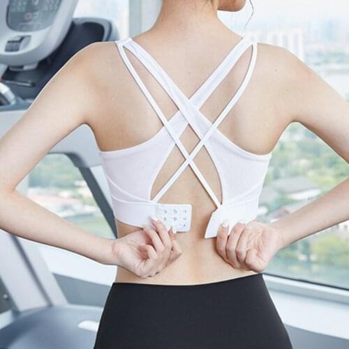 Willarde Sports Bras