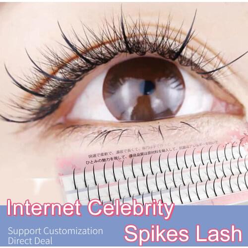Lakanaku Mink Spikes Lashes Cilios Premade Volume Fans 0.07 C/D Curl Individual Fake Eyelashes Lash Spikes