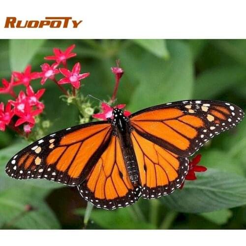 RUOPOTY Painting By Numbers Orange Butterfly Animal Oil Picture By Number Kits 40x50cm Frame Home Wall Decoration Photo DIY Gift
