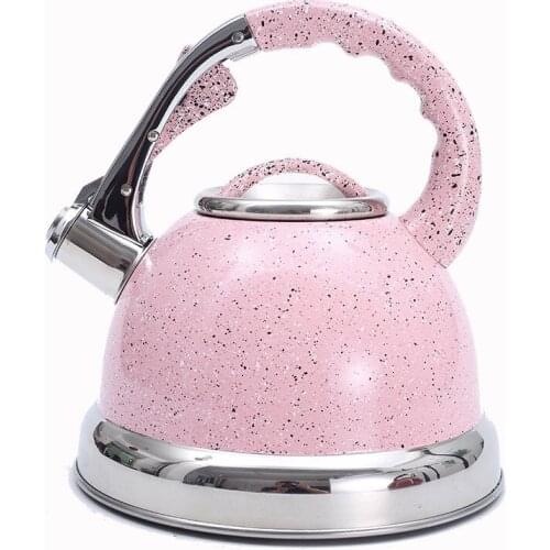 Kitchen Stainless Steel Coffee Teapot Induction Whistle Tea Kettle Stove Tops 3.5L