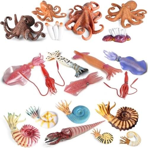 Classic Sea Life Mollusk Model Simulation Squid Nautiloidea Octopus Growth Cycle Action Figure Ocean Animals Set Kids Toy Gifts