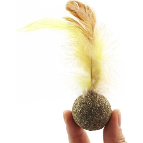 1pcs Cat Catnip Ball Vegetable Flavor Catnip Toys Interactive Faux Feather Cat Toy Kitten Chewing Ball Pet Supplies herbe a chat