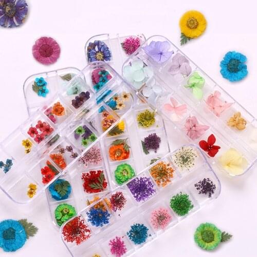 24Pcs Real Pressed Flower Lace Dried Flower Nail Art Resin Jewelry Making For DIY Crafts