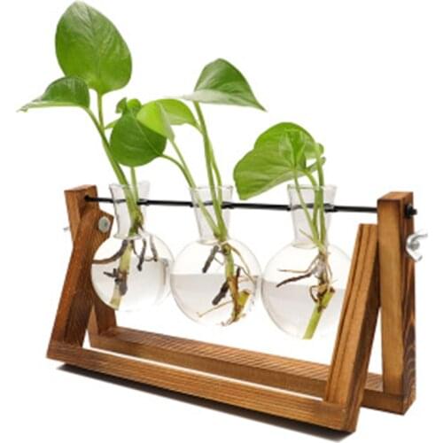 Desktop Glass Planter Bulb Vase Air Plant Terrarium with Wooden Stand for Hydroponics Plants Cuttings Office Decoration