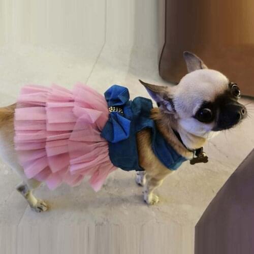 XS-XXL Summer Dress for Cat Dog Pet Chihuahua Wedding Dress Skirt Puppy Clothing Spring Jean Lace Princess Dress for Pets Supply