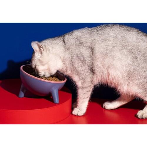 15° Tilt Pet Bowl With Stand For Cat Storage Of Food Raised Non-slip Neck Guard Pet Eating Food Bowls For Small Dogs Supplies