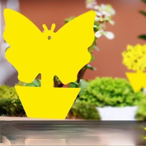 Sticky board yellow plate trap board double-sided yellow plate insect-plate insect trap special-shaped sticky board sticky catch