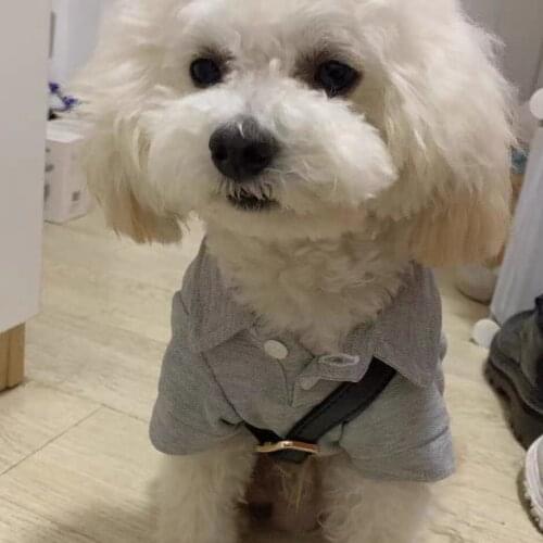 New Arrival Pet Dog Leather Messenger Bag Crossbody Bags Backpack Carrier For Small Dogs Schnauzer Yorkie Pomeranian WLB01