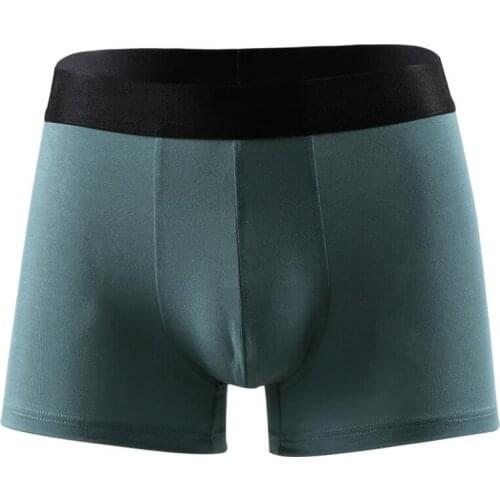 2021 New Underwear Men Boxer Panties Underwear Boxers Shorts Boxershorts Underpants