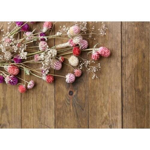 Planks Backdrop Red Dandelion and Brown Wooden Board Photography Background Holiday Celebration Photo Booth Studio Decor