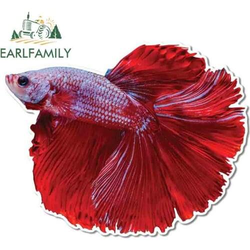 EARLFAMILY 13cm x 4.3cm for Betta Fish Vinyl Race Car Stickers Japanese Kids Room Scratch-proof Window Trunk Decal for VAN SUV