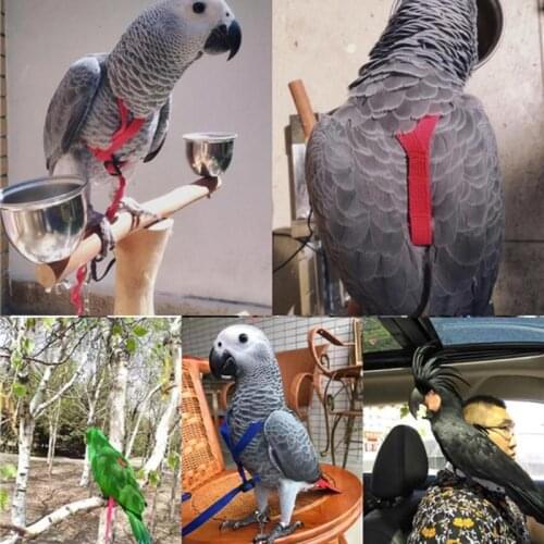 Parrot Bird Leash Anti-bite Flying Training Rope Parrot Bird Pet Leash Kits Ultralight Harness Leash Soft Portable Pet Plaything