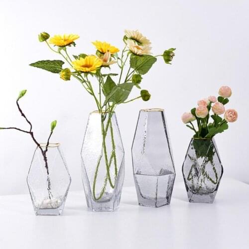 Modern Geometric Glass Vases Creative Flower Arrangement Gold Rim Hammer Pattern Office Living Room Porch Decoration Glass Vases