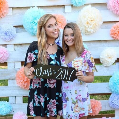 Holiday Supplies 10" (25cm) Fluffy Tissue Paper Pom Poms Hanging Rose Flower Balls Garlands Wedding Baby Shower Party Decoration