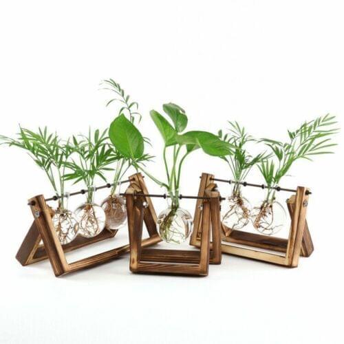 Hydroponic Wooden Stand Glass Vase Desktop Plant Container Creative Bulb / Heart / Mushroom Decorative Hanging Flower Pot