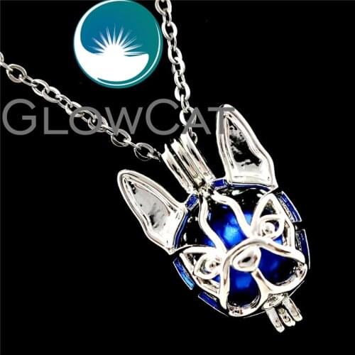 GLOWCAT R-K690 Dog Boston Terrier Beads Cage Pendant Essential Oil Diffuser Aromatherapy Pearl Cage Locket Necklace