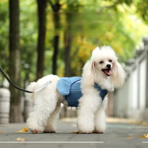 New Fashion Breathable Vest Small Dog Harness and Leash Chest Back Traction Rope Dog Chain Leash Dog Accessories