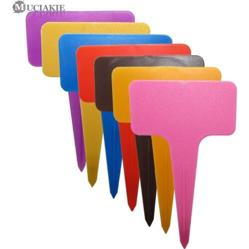 30PCS 60x98MM T Typed Thickened Plant Markers for Succulent Bonsai Flowers Category Tags Label New PP Plastic Garden Nursery Tag