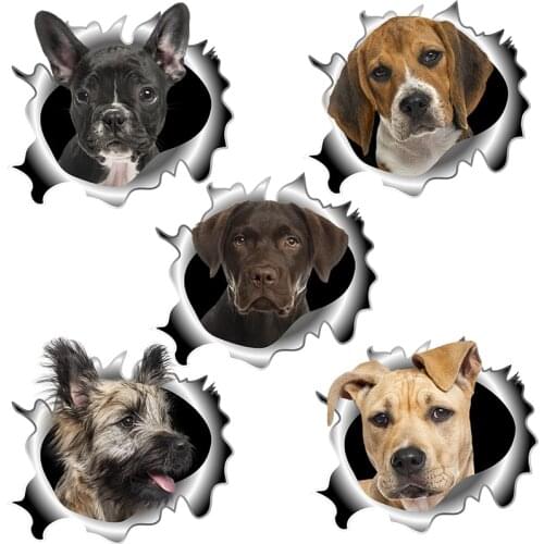 Three Ratels C518 Small Portuguese bordenco 3D Dogs Kitchen refrigerator sticker wall sticker art for bedroom