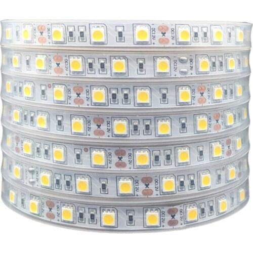 5m IP67 IP68 Waterproof LED Strip 5050 DC12V Pool Pond In Water Underwater & Outdoor Safety RGB LED Strip 300LEDs 60LEDs/M