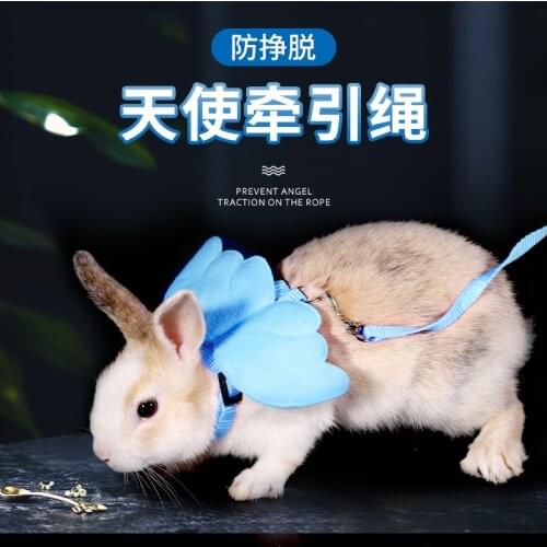 Rabbit Hand Holding Rope Anti Breaking Loose Rabbit Rope Pet Dwarf Rabbit Adjustable Special Rope Bolt Rope Walking Rabbit