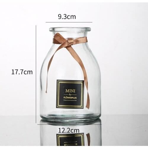 Vase Decoration Transparent Creative Vase Flower Glass Bottle flower vase glass bottles mason jars