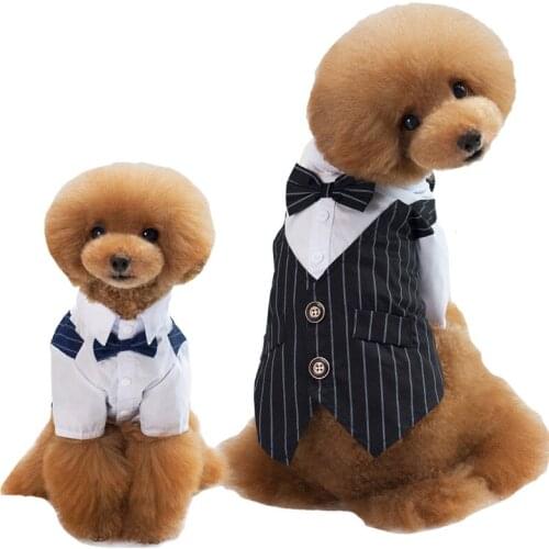 Одежда и обувь для собак DYKARO China At AliExpress