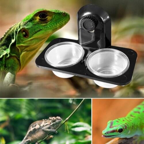 Reptile Tank Insect Spider Ants Nest Snake Gecko Food Water Feeding Bowl Terrarium Breeding Feeders Box Pets Supplies