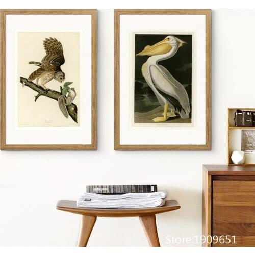 Cotton no frame realist Audubon tropical birds canvas printings oil painting printed on cotton home wall art decoration picture