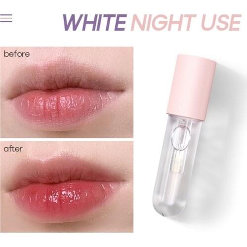 Double Tube Day And Night Lip Enhancement Liquid To Increase Plump Lips Hydrating Peppermint Ginger Lip Enhancement Oil