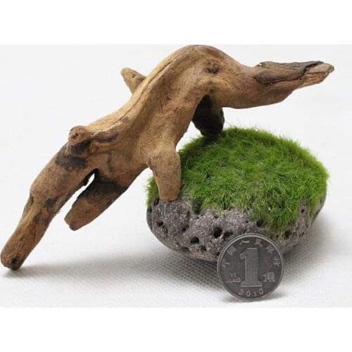 10-15cm Natural Tree Trunk Driftwood Aquarium Fish Tank Reptile Cylinder Making Roots Plant Wood Decoration Ornament