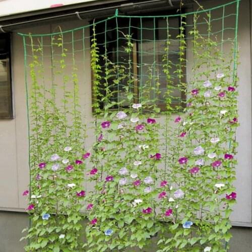 1pc 90*180cm Nylon Garden Netting Morning Glory Flower Vine Climbing Net Cucumber Plants Landing Net Grow Supports