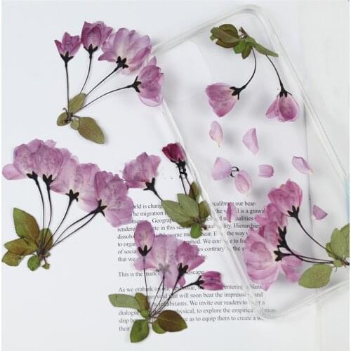Cherry Blossom Begonia Flower Dry Flower Embossing Plant Soy Wax Candle Accessories Soap Making Kit Scented Candles Beeswax