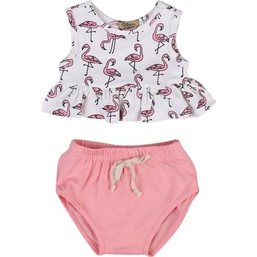 Fashion Newborn Toddler Baby Girl Crop Top T-shirt + Short Pants Outfits Clothes Flamingo Print Girls Set Beach Style